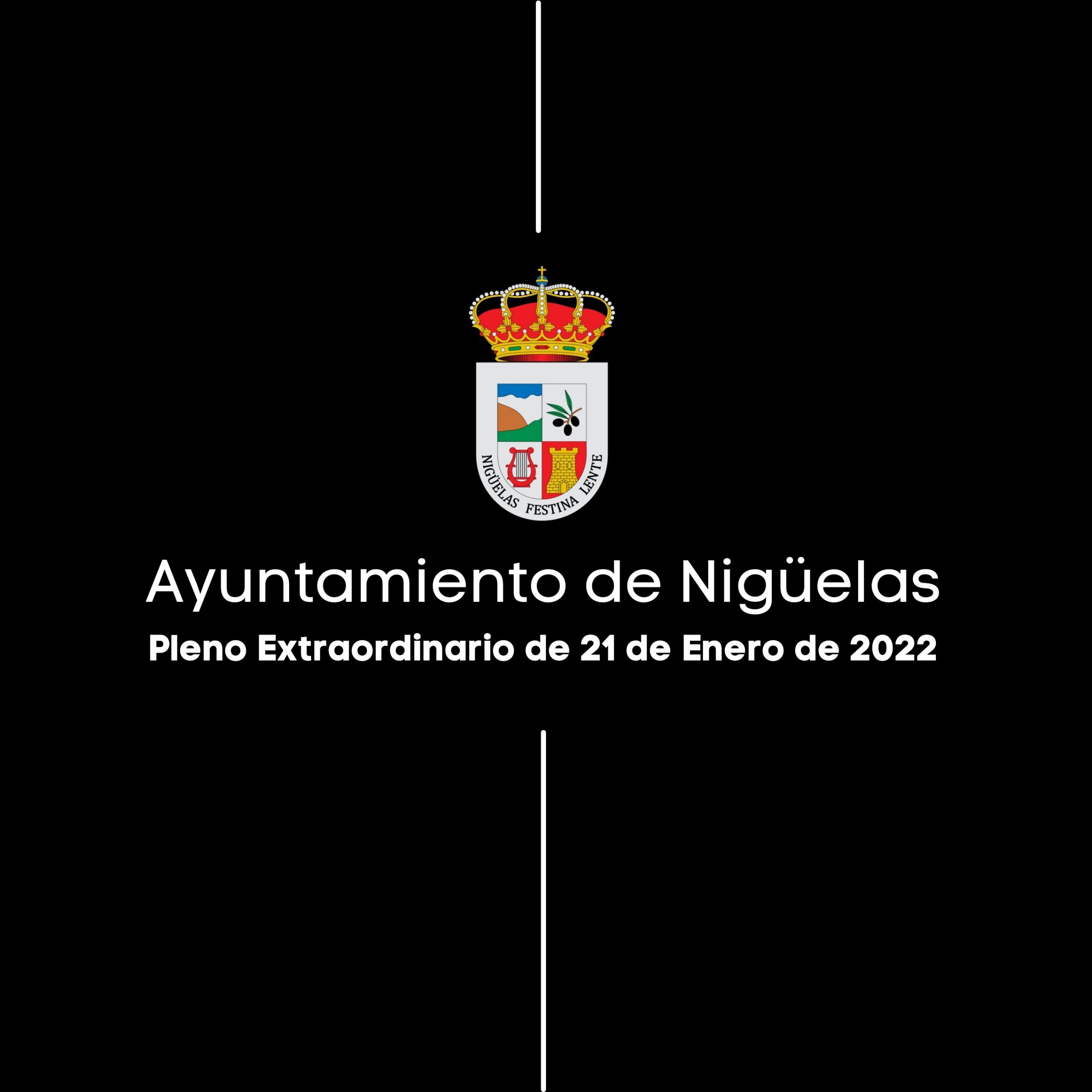 Lee más sobre el artículo Pleno Extraordinario del Ayuntamiento de Nigüelas de 21 de Enero de 2022