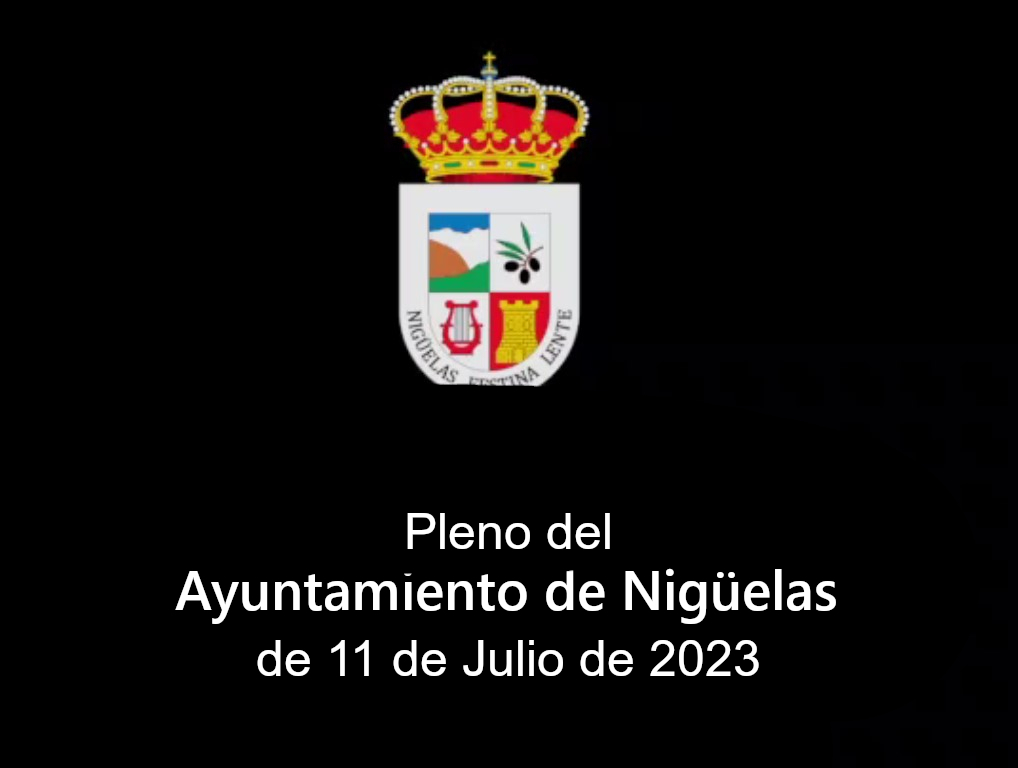 Lee más sobre el artículo Pleno del Ayuntamiento de Nigüelas de 11 de Julio de 2023