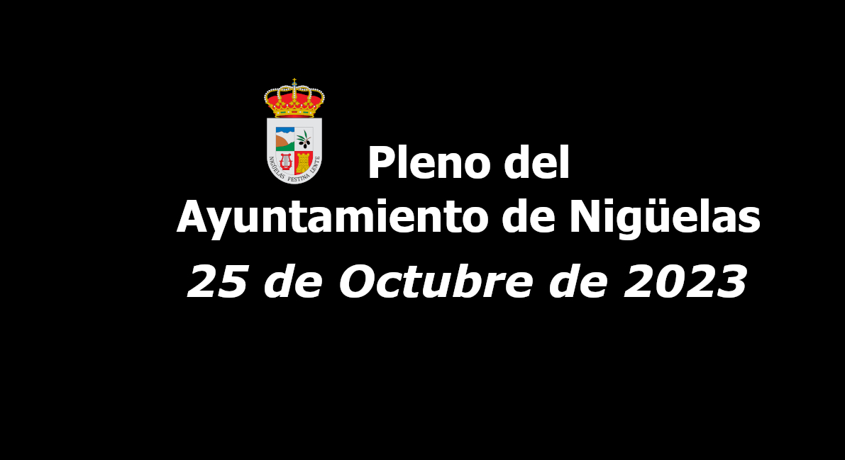 En este momento estás viendo Pleno del Ayuntamiento de Nigüelas de 25 de Octubre de 2023