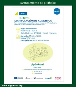 Lee más sobre el artículo Formación gratuita para mejorar tu empleabilidad