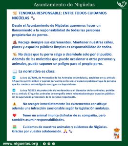 Lee más sobre el artículo Tenencia responsable de mascotas
