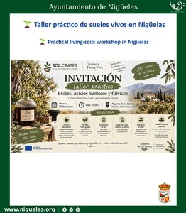 Lee más sobre el artículo Taller práctico de suelos vivos
