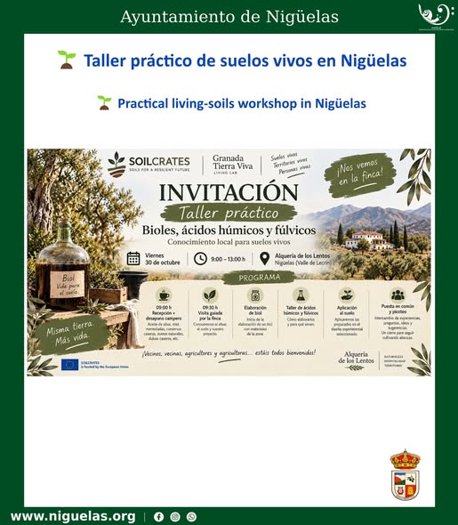Lee más sobre el artículo Taller práctico de suelos vivos