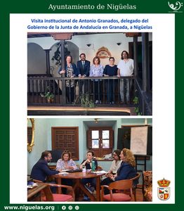 Lee más sobre el artículo Visita institucional al Ayuntamiento de Nigüelas