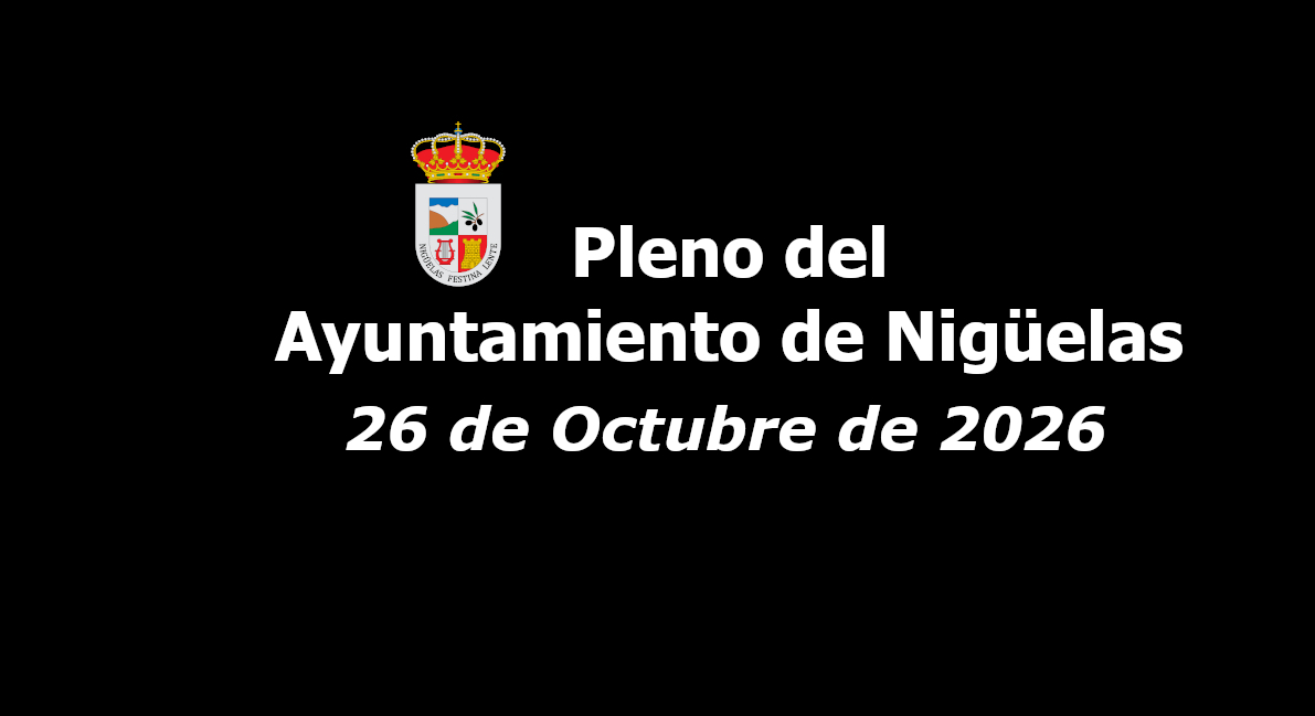 Lee más sobre el artículo Vídeo del Pleno de 26 de Octubre de 2026